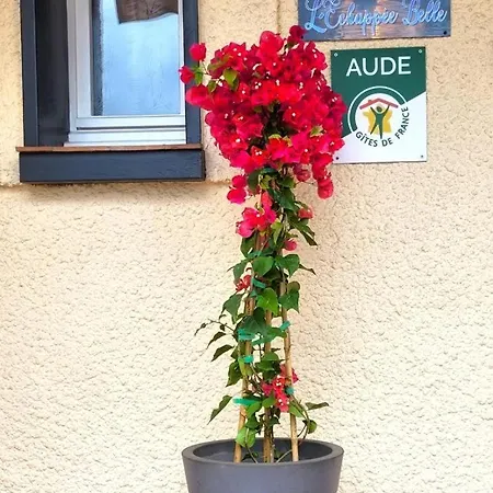 Διαμέρισμα L'echappee Belle Καρκασόν