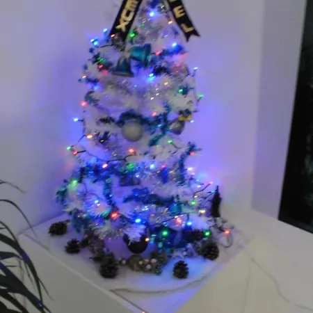 L'echappee Belle Carcasona