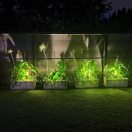 L'echappee Belle * Carcasona