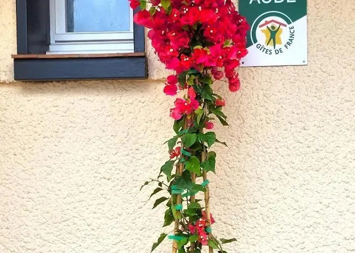 L'echappee Belle Lejlighed Carcassonne